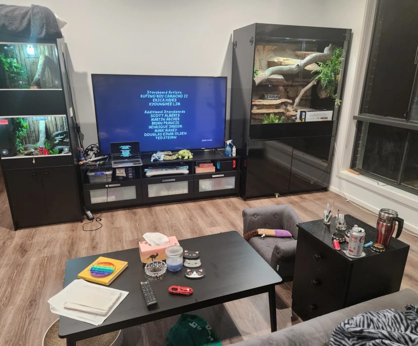Cy (31), $500, LGBTQIA+, Have pets, Smoker, and No children