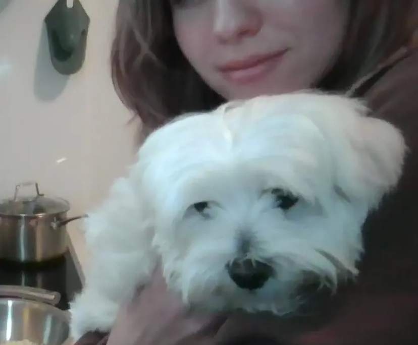 Kat (31), $300, LGBTQIA+, Non-smoker, Have pets, and No children