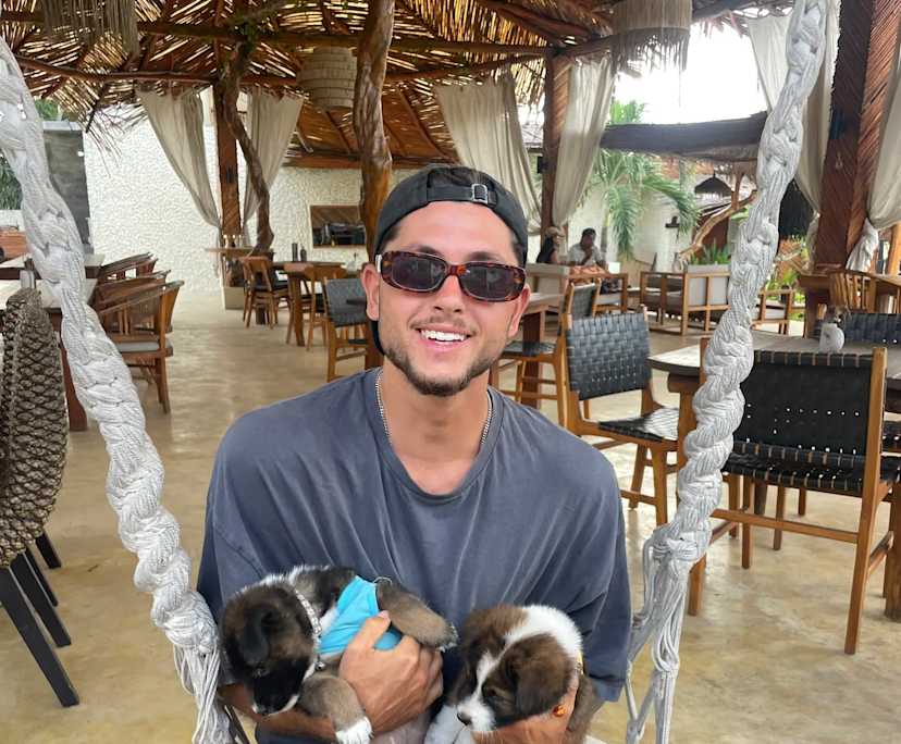 Mehdi (26), $300, Non-smoker, No pets, and No children