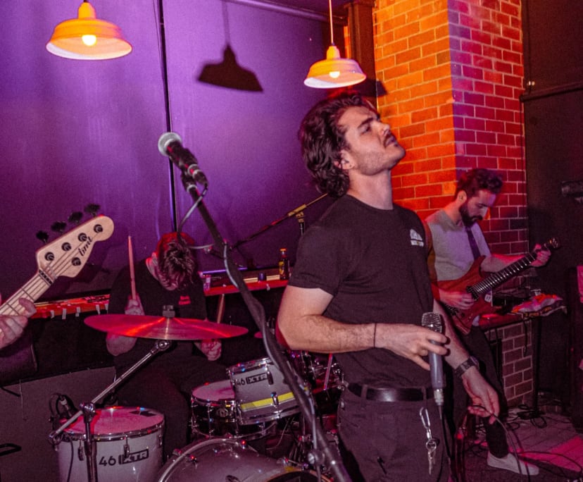 Tadhg (31), $350, Have pets, Non-smoker, and No children