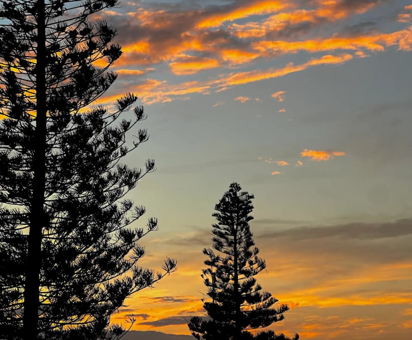 Tasmeen Kaur (26), $350, 