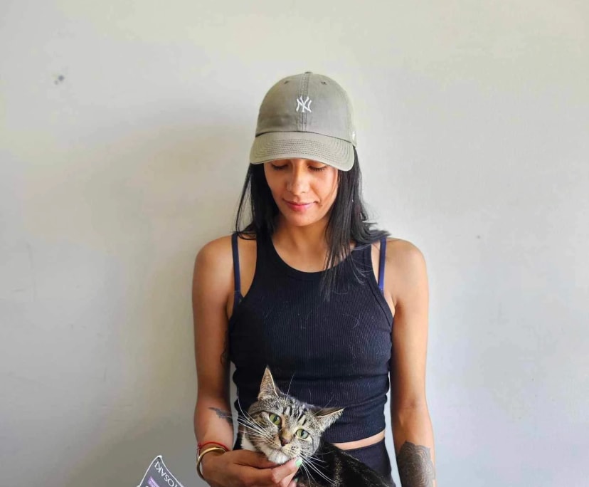 Catalina (30), $350, Non-smoker, Have pets, No children, and LGBTQIA+