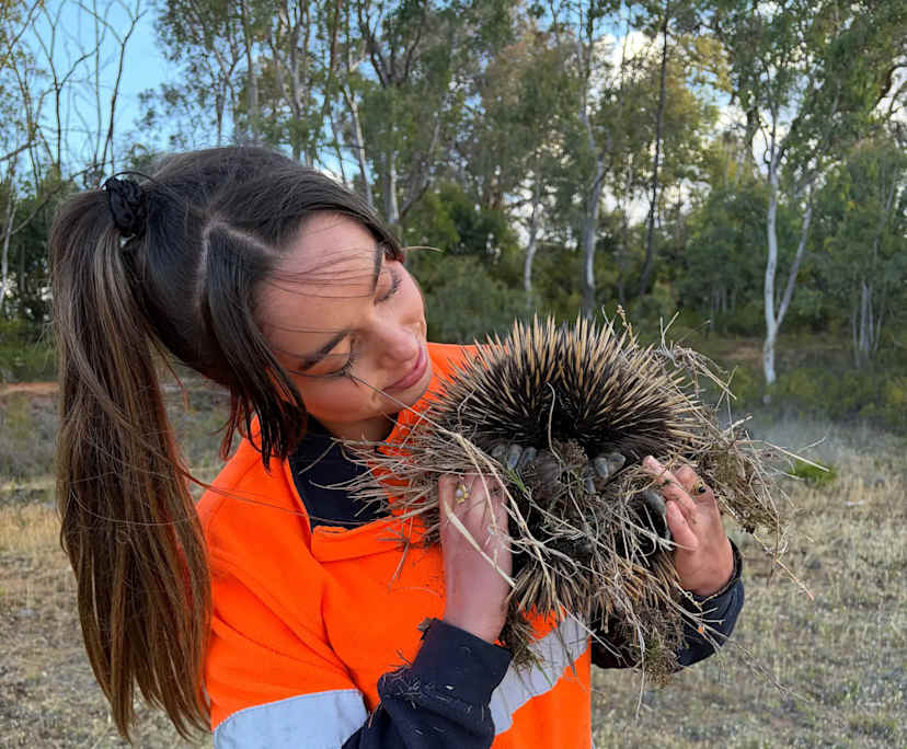 Charlie (28), $300, Non-smoker, No pets, and No children