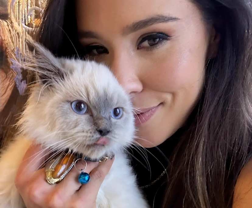 Camila (37), $600, Non-smoker, Have pets, and No children