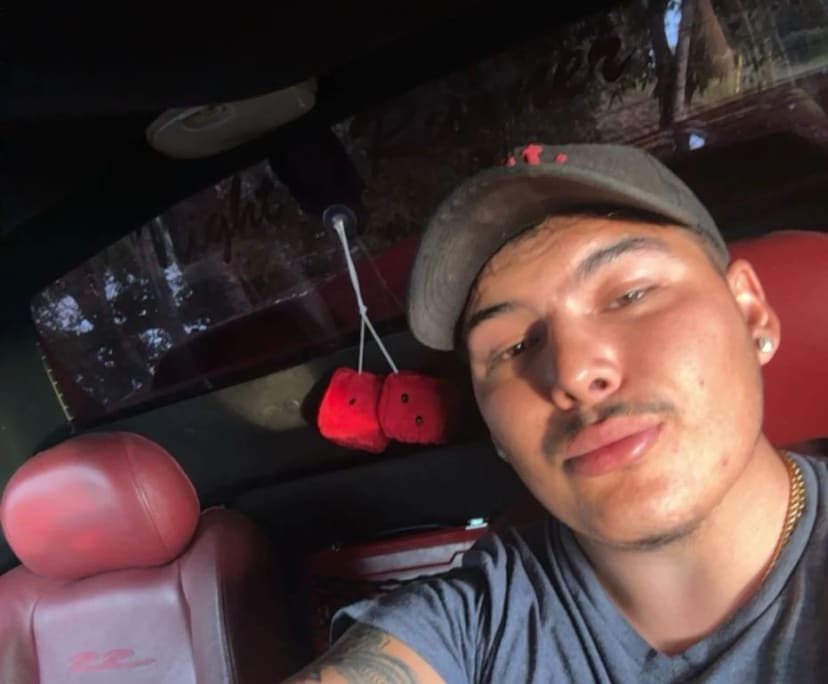 Josh (20), $325, Non-smoker, No pets, and No children