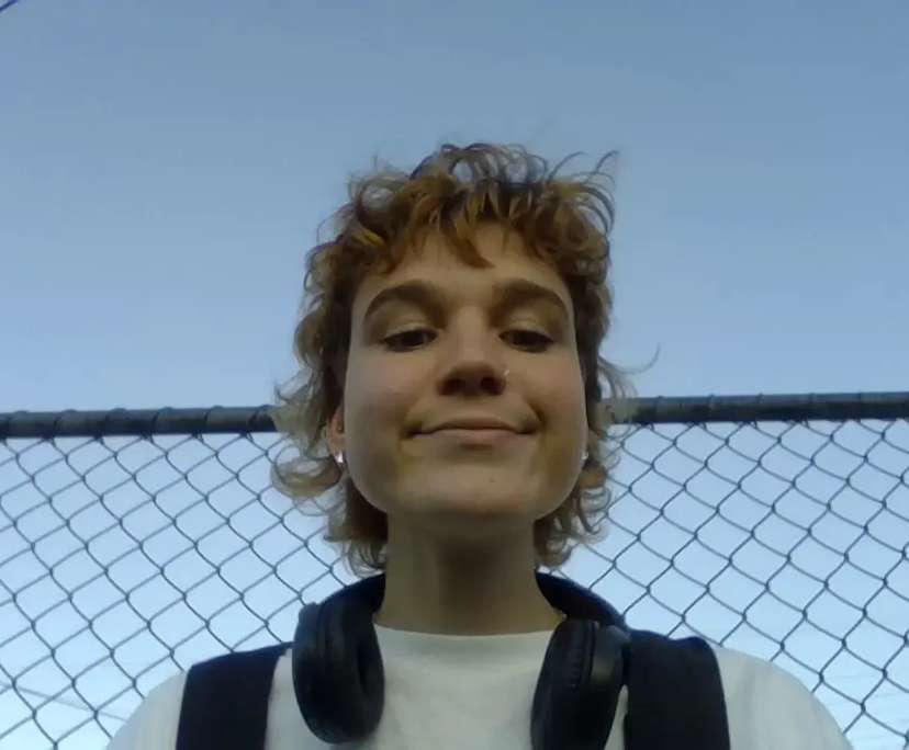 Dani