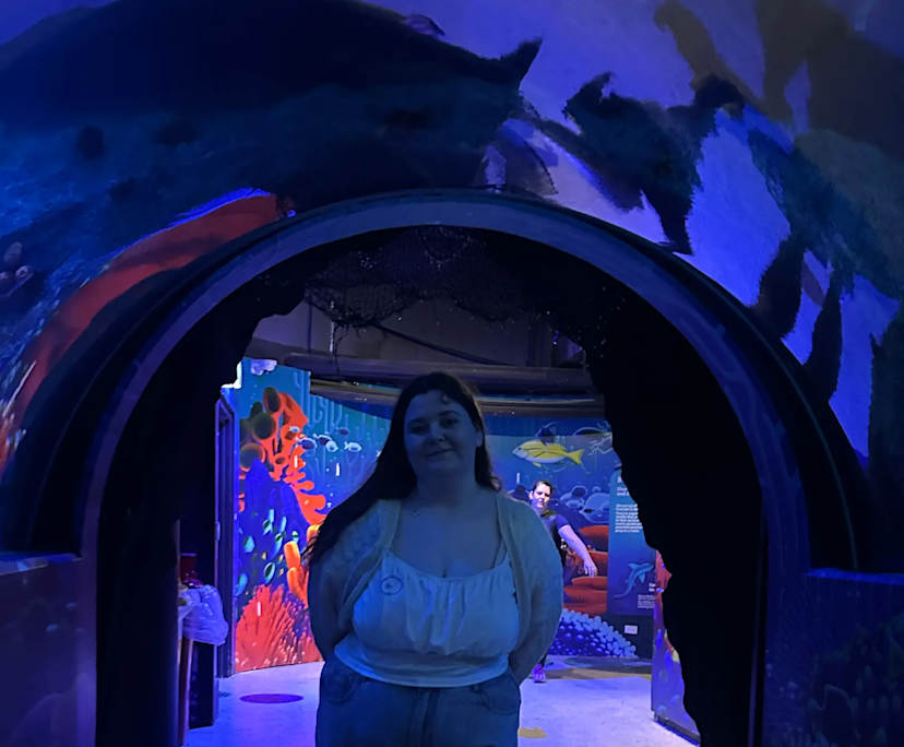 Ashley (19), $200, Non-smoker, Have pets, and No children