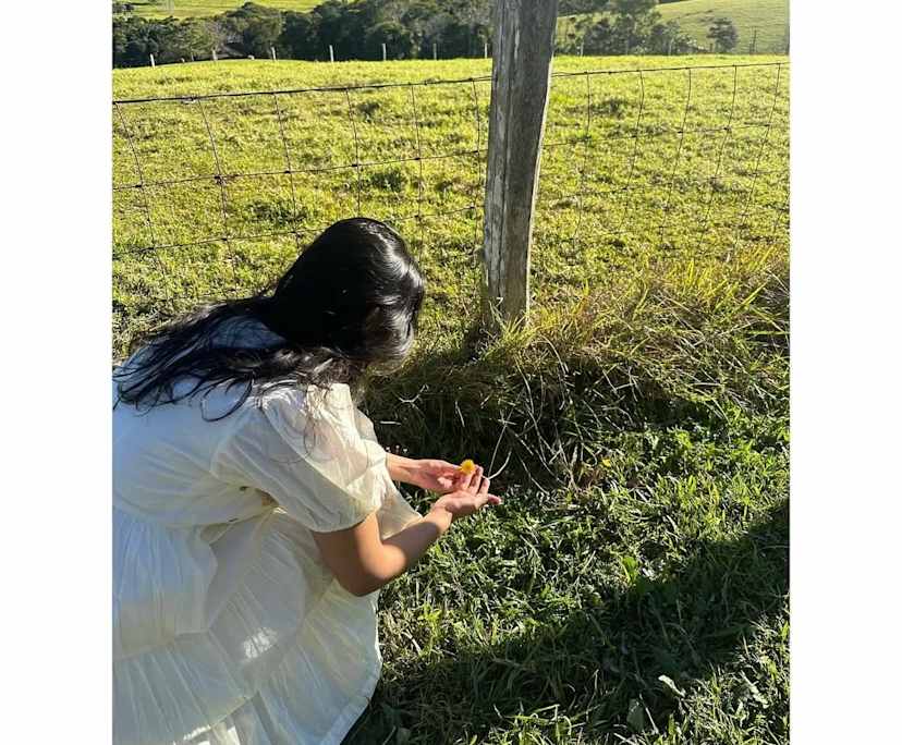 Anshruta (26), $375, 