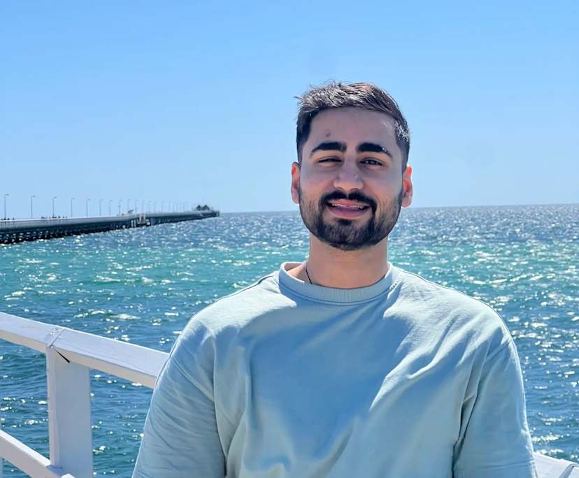 Dhruv (28), $300, Non-smoker, No pets, and No children