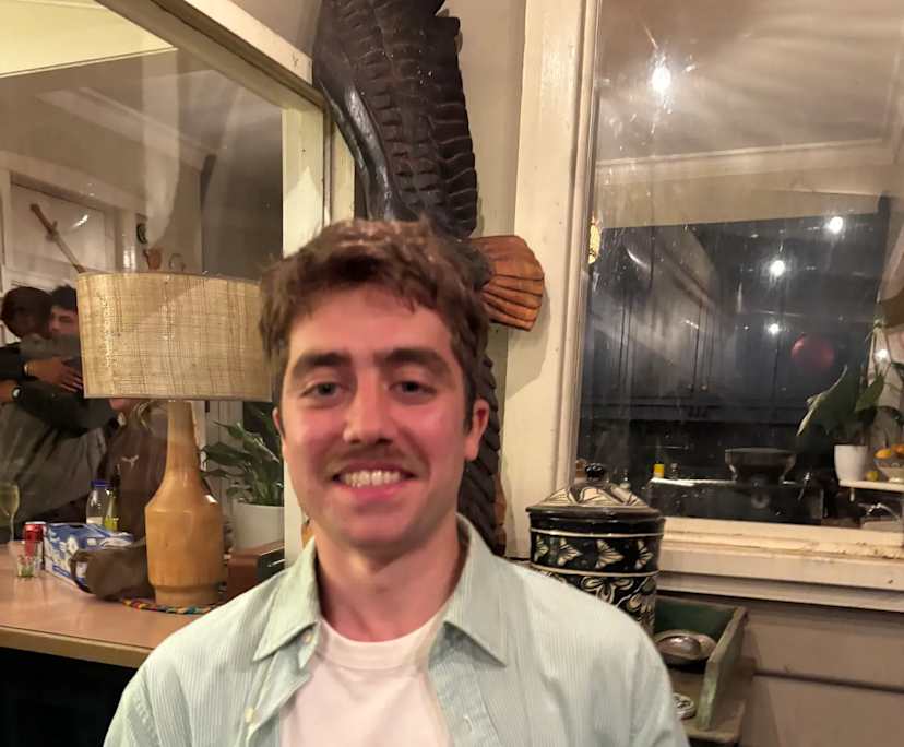 Ty (24), $300, Non-smoker, No pets, and No children