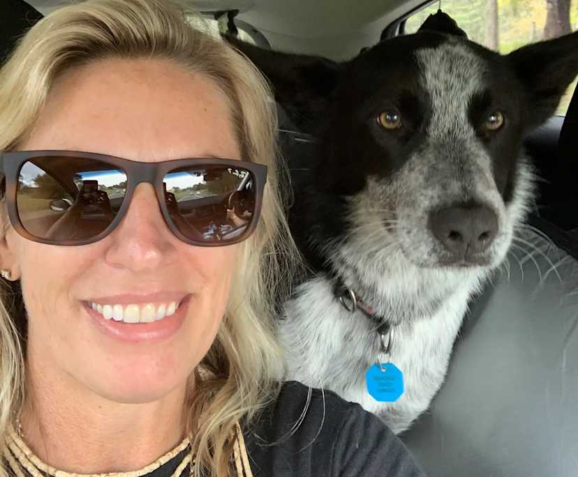 Renée (48), $300, Non-smoker, Have pets, and No children