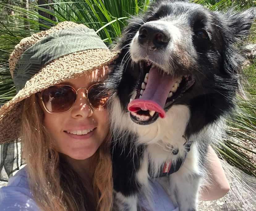 Vanessa Sargent (34), $300, Non-smoker, Have pets, and No children