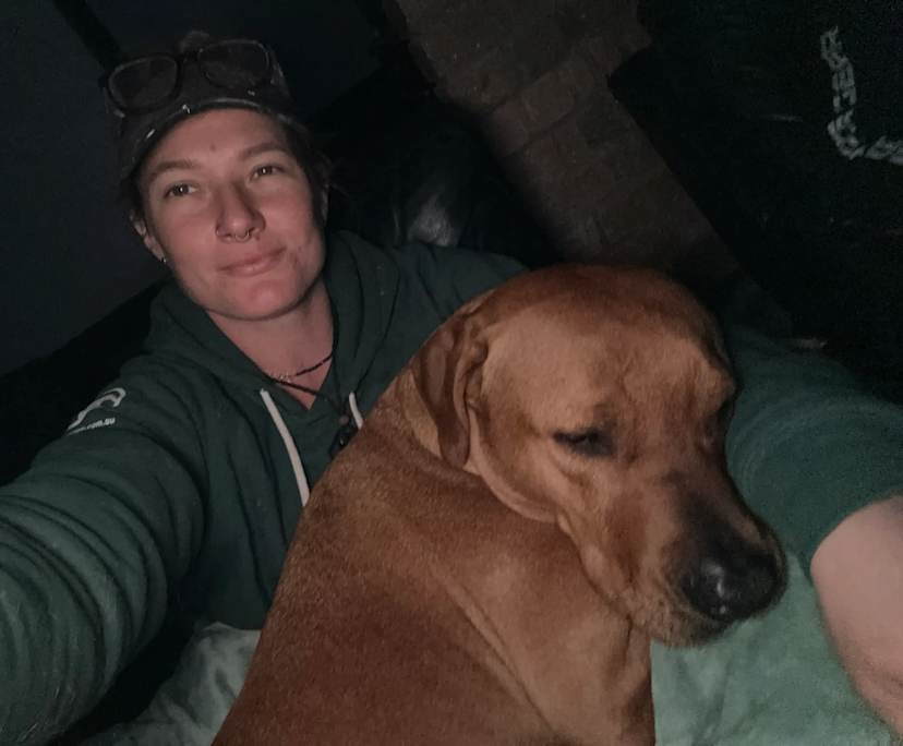 Holly (35), $350, Non-smoker, Have pets, and No children