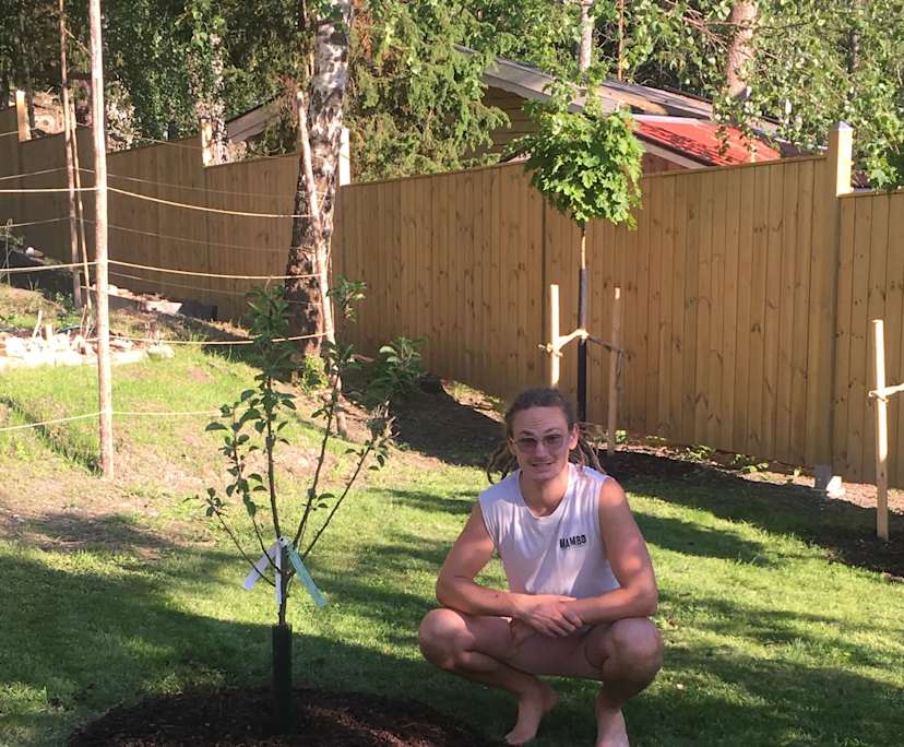 Jason (29), $300, Non-smoker, No pets, and No children