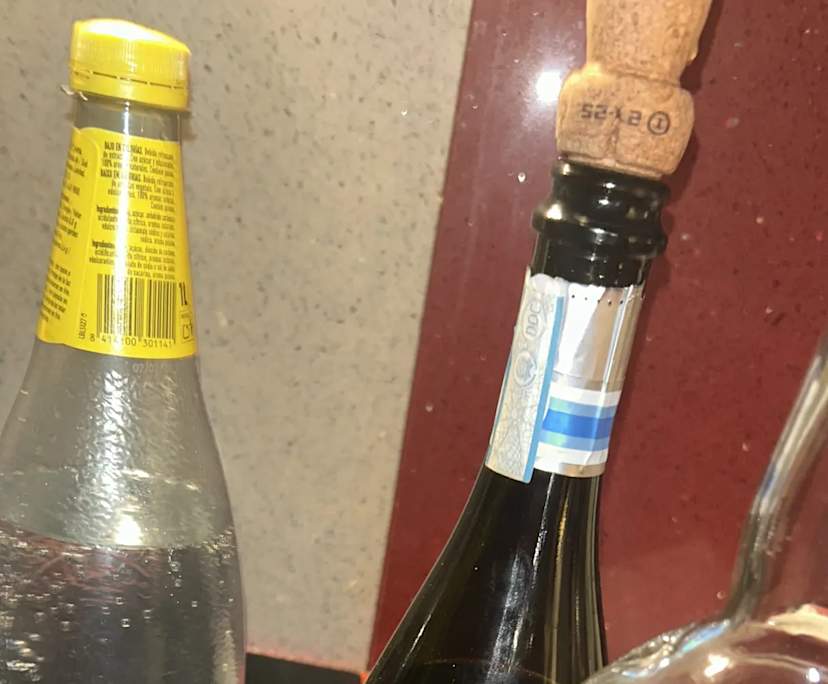 Marcos (29) and Giuliana (24), $600, 