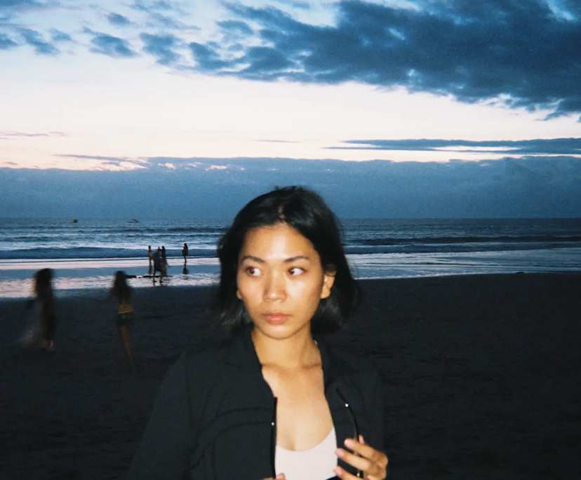 Vanessa (28), $250, Non-smoker, No pets, and No children