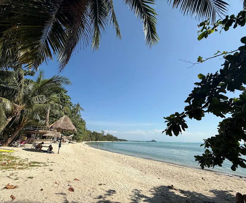 Kris (32), $450, Non-smoker, No pets, and No children