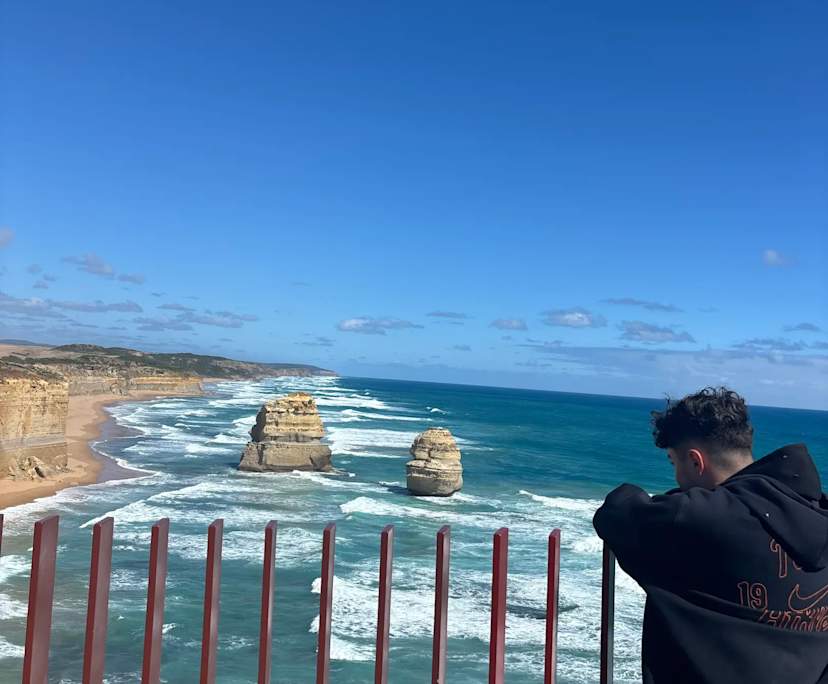 Lorenzo (21), $350, No pets, Non-smoker, and No children