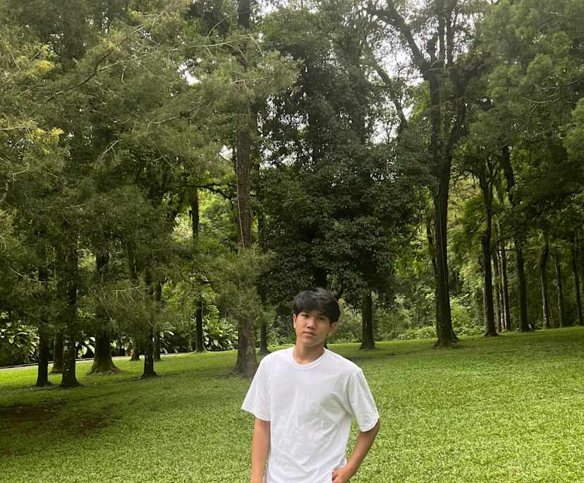 Mizel Lie Aldri Majesta