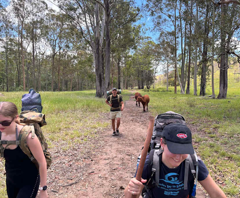 Charlotte (21), $300, Non-smoker, No pets, and No children