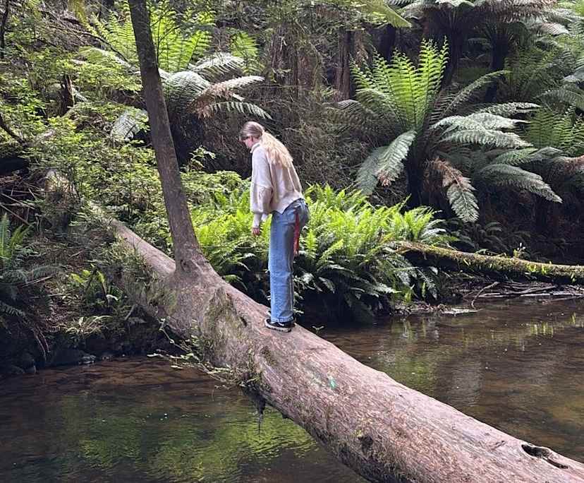 Caitlin (23), $430, Non-smoker, Have pets, and No children