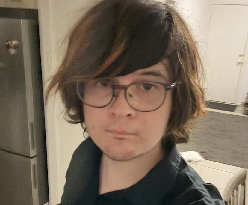 Cody (20), $330, Non-smoker, Have pets, and No children