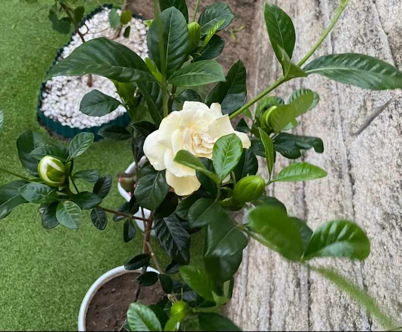 Ash (55) and Alex (16), $500, 