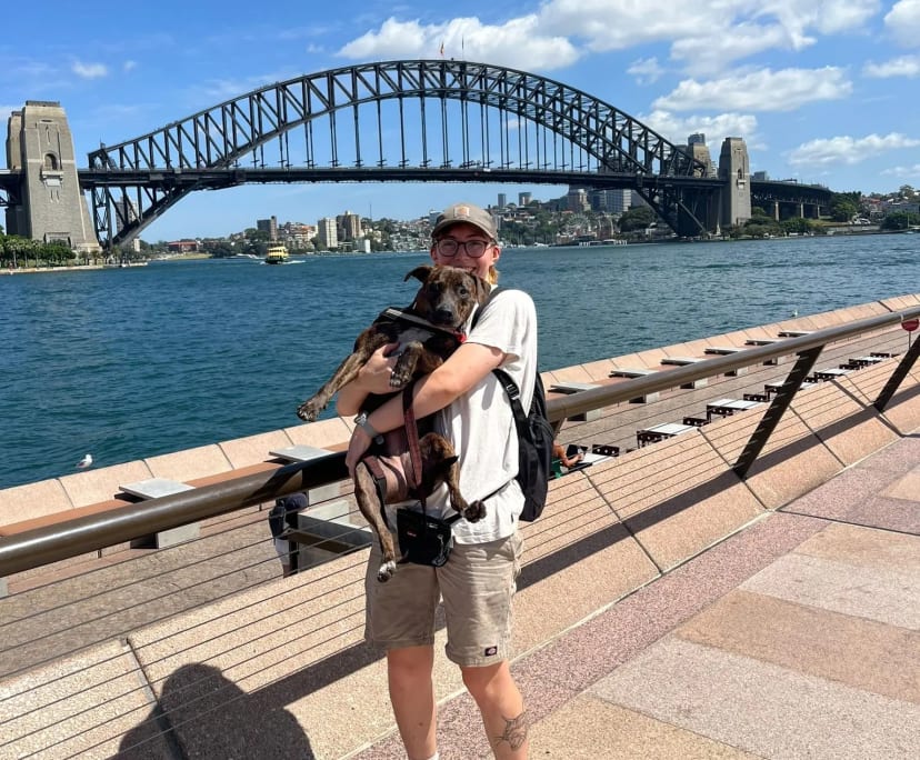 George (25), $300, LGBTQIA+, Non-smoker, Have pets, and No children