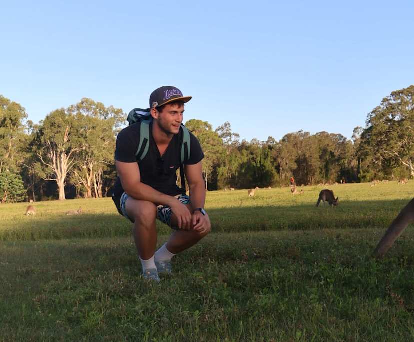 Francesco (22), $350, Non-smoker, No pets, and No children