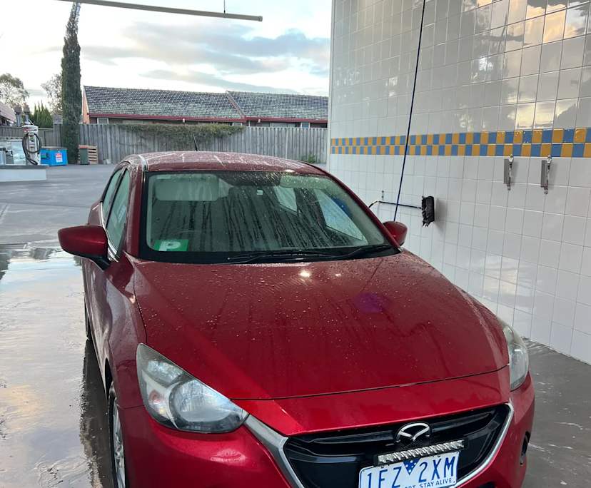 Caitlin (23), $425, Non-smoker, Have pets, and No children