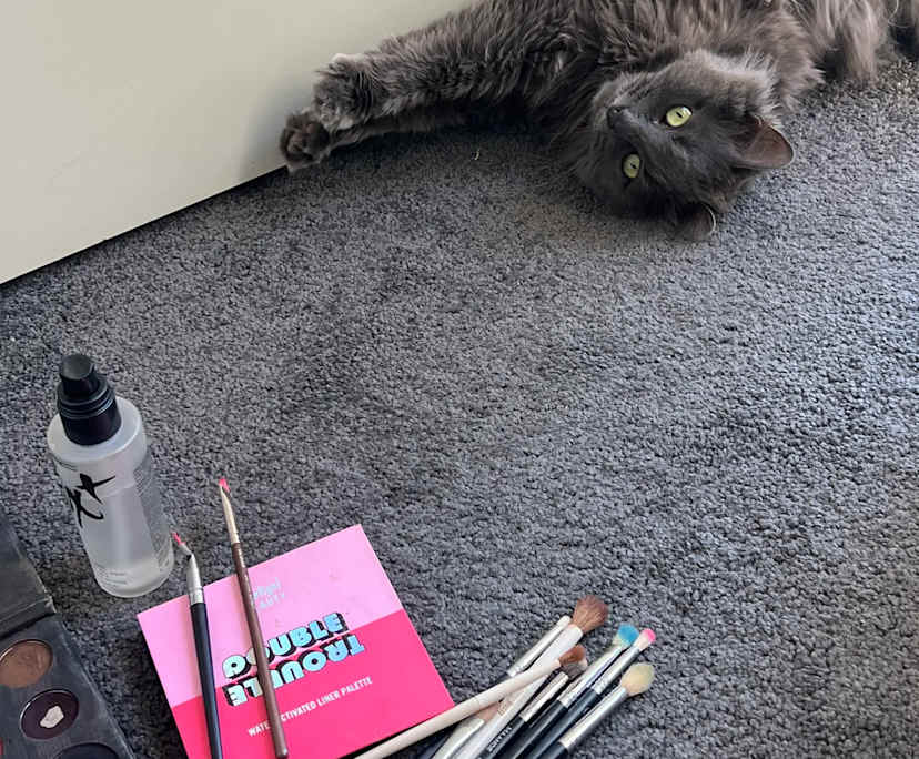 Darcy (25), $250, Non-smoker, Have pets, and No children