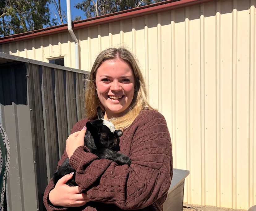 Isabelle (18), $300, Non-smoker, Have pets, and No children