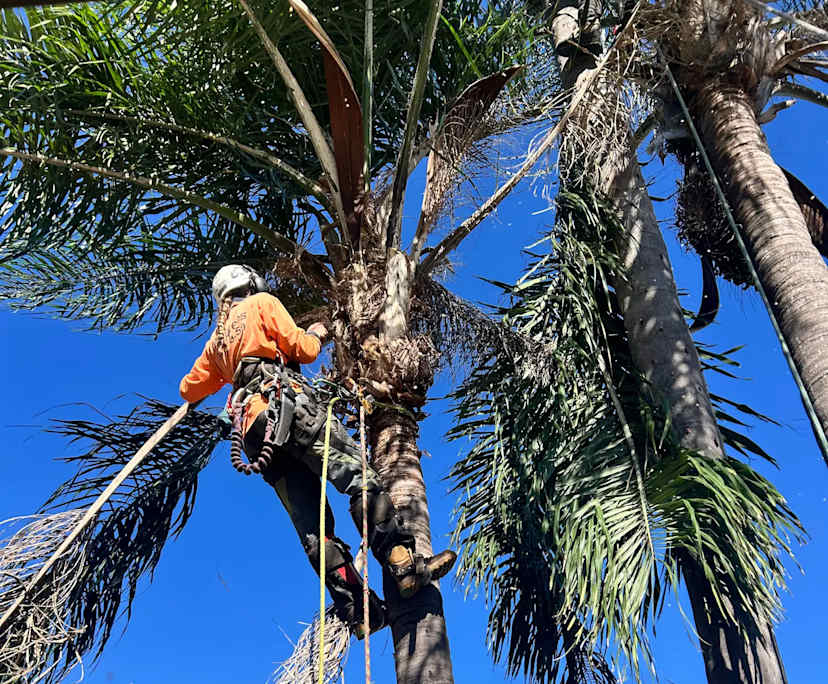 Caitlin Pattinson (21), $250, Smoker, No pets, and No children