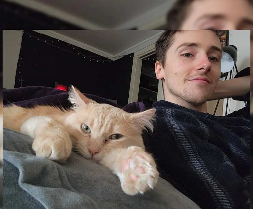 William (29), $300, Non-smoker, Have pets, and No children