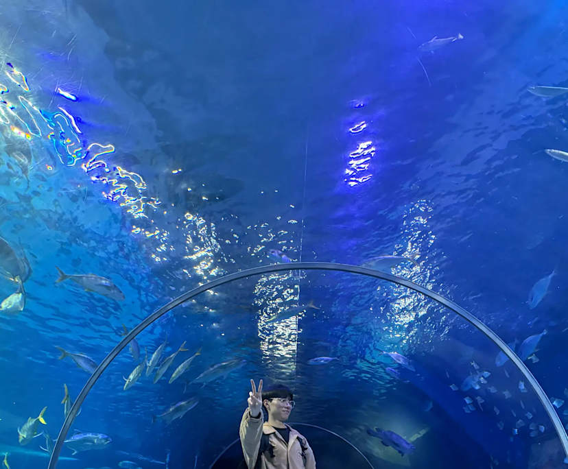 Jeong chanul (25), $400, Non-smoker, No pets, and No children