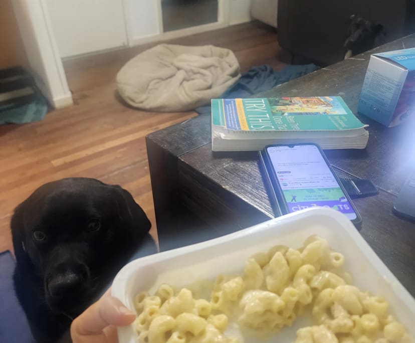 Ellie