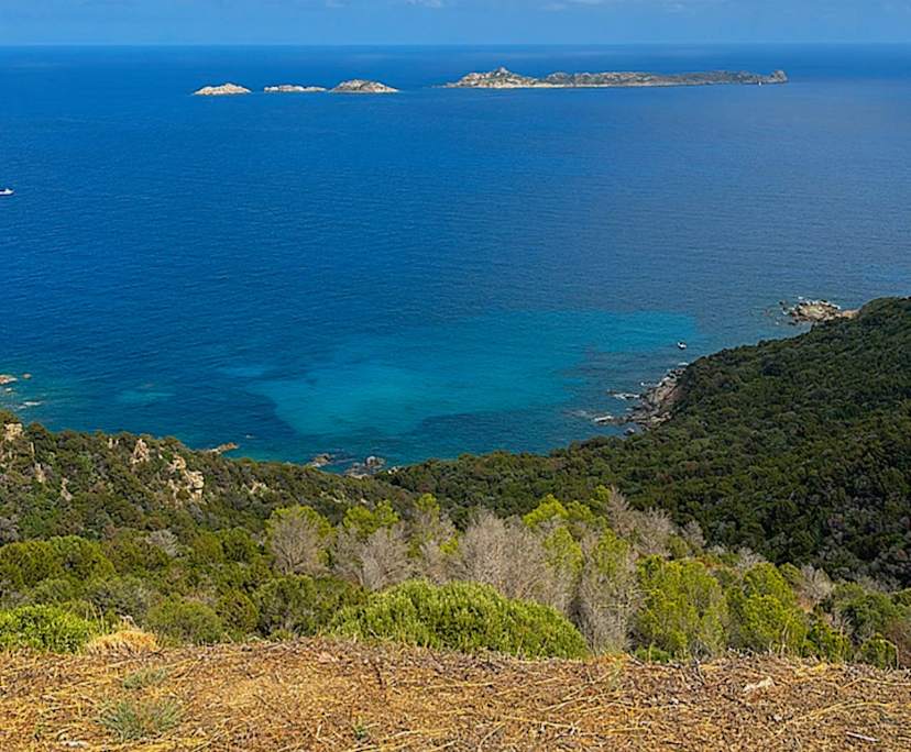 Gaia (20), $420, No pets, LGBTQIA+, Non-smoker, and No children