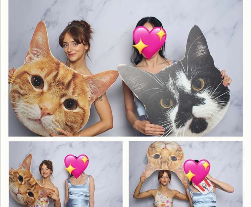 Kaity (28), $300, LGBTQIA+, Non-smoker, Have pets, and No children