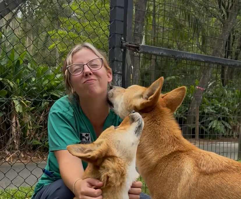 jasmin (25), $400, LGBTQIA+, Non-smoker, No pets, and No children