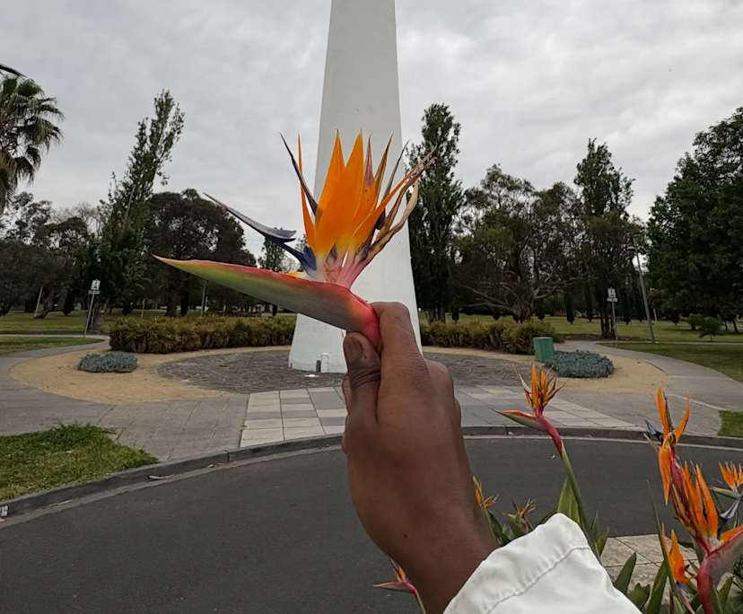 steven webster (21), $850, Non-smoker, No pets, and No children