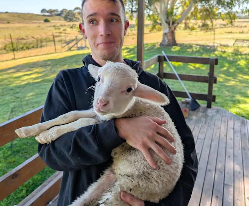 James (24), $250, No pets, Non-smoker, No children, and LGBTQIA+