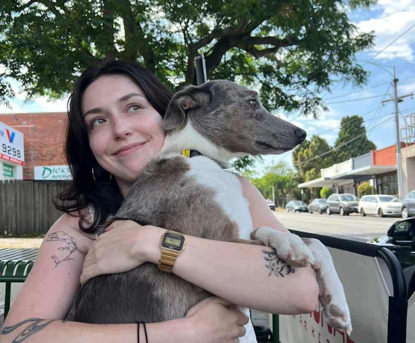 Charlotte (24), $375, Non-smoker, Have pets, and No children