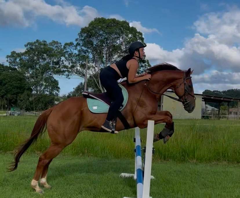 Laylah (19), $400, Non-smoker, Have pets, and No children