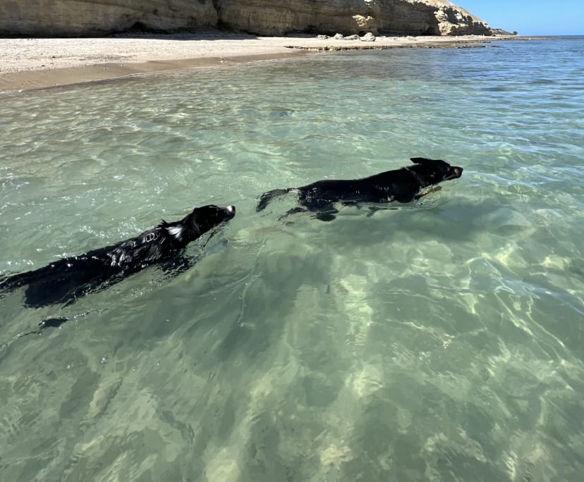 Anthony (23) and Constance (22), $650, Non-smoker, Have pets, and No children