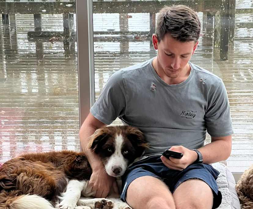 James (26), $300, Non-smoker, Have pets, and No children