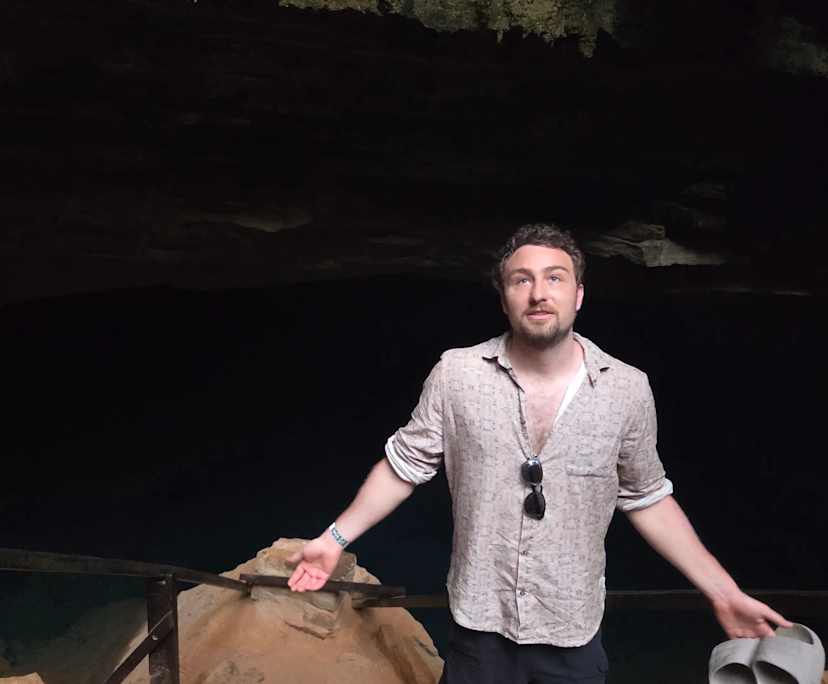 Dylan (31), $300, Non-smoker, No pets, and No children