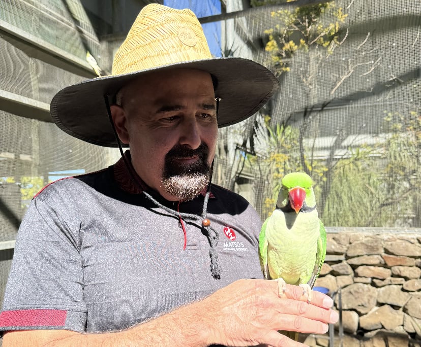 Gioni (54), $250, Non-smoker, No pets, and No children