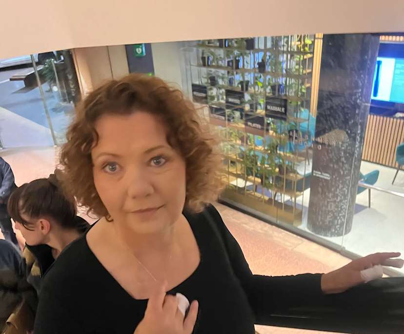 Sue (54), $350, Smoker, Non-smoker, Have pets, and No children