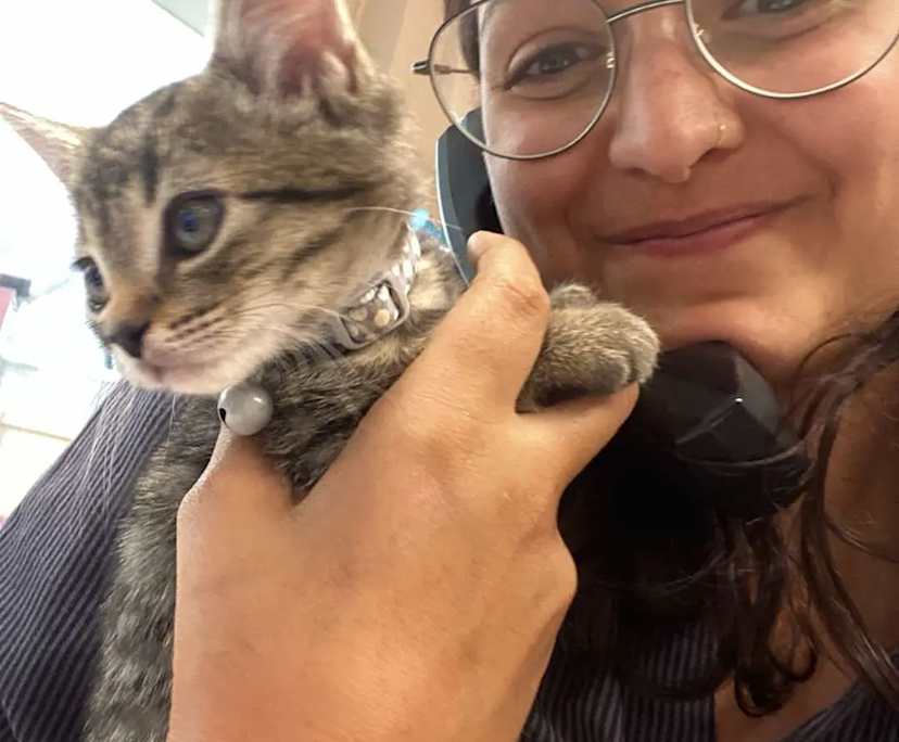 Amalia (25), $220, Non-smoker, No pets, and No children