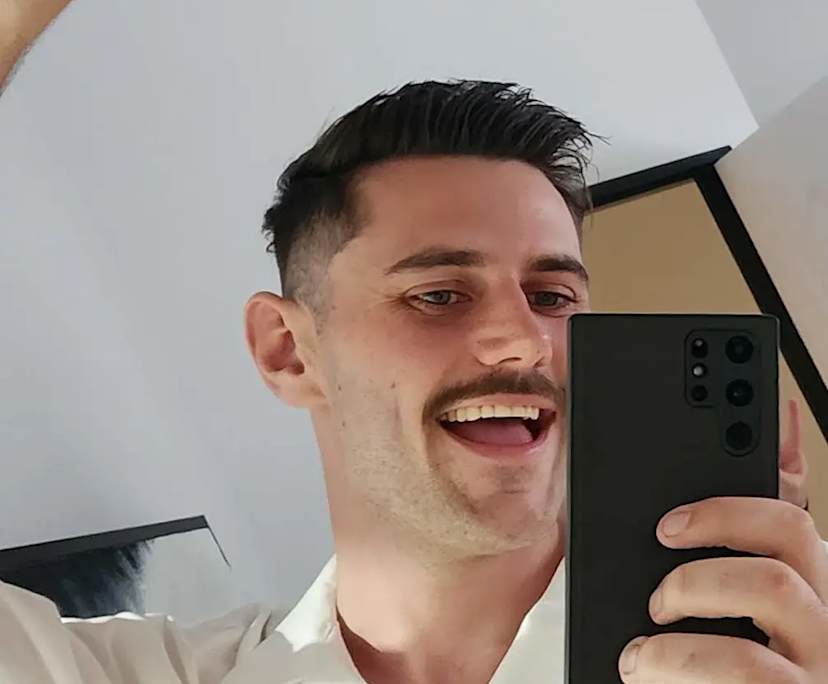 Nick (27), $350, Non-smoker, Have pets, and No children